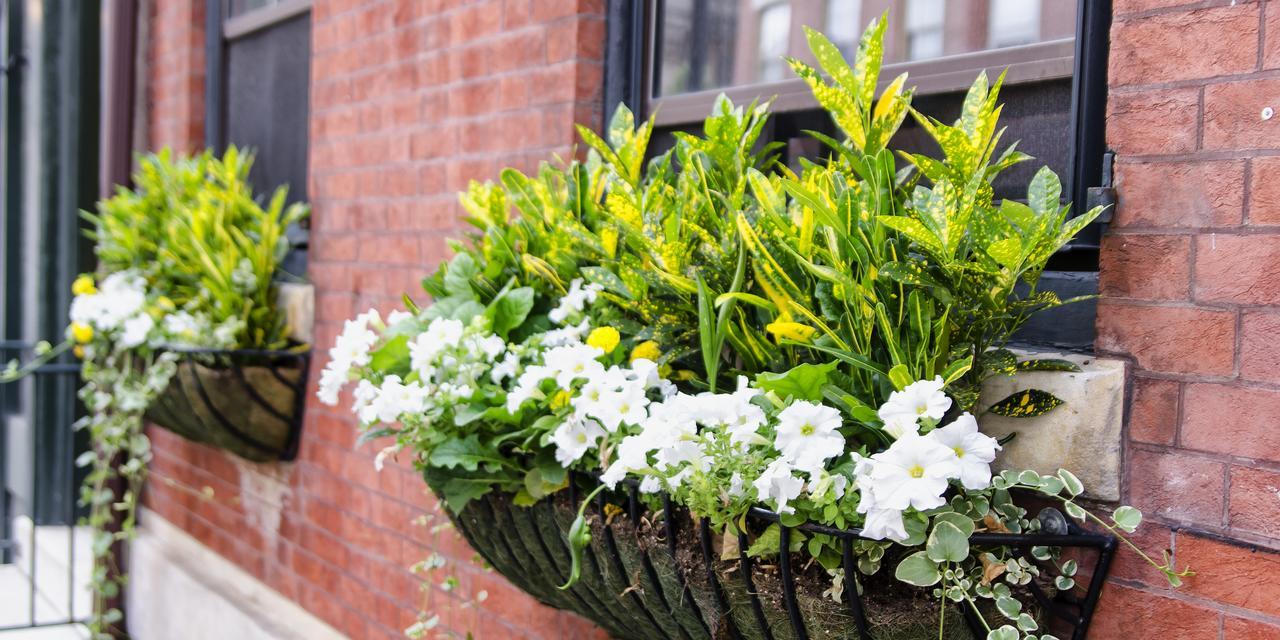 The Dwight D A Boutique Hotel Philadelphie Extérieur photo
